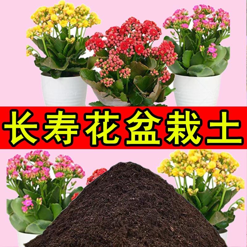 长寿花专用营养土种植土盆栽土疏松透气花卉土有机肥料室内养花土