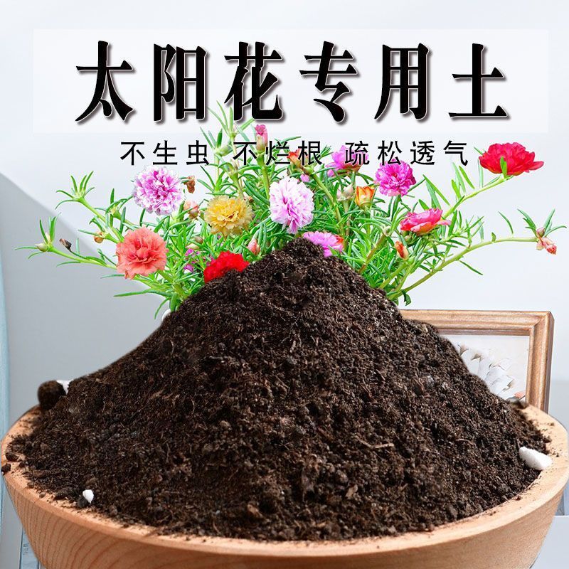 太阳花专用土太阳花营养土种花盆栽土均衡花卉土室内养花土壤肥料