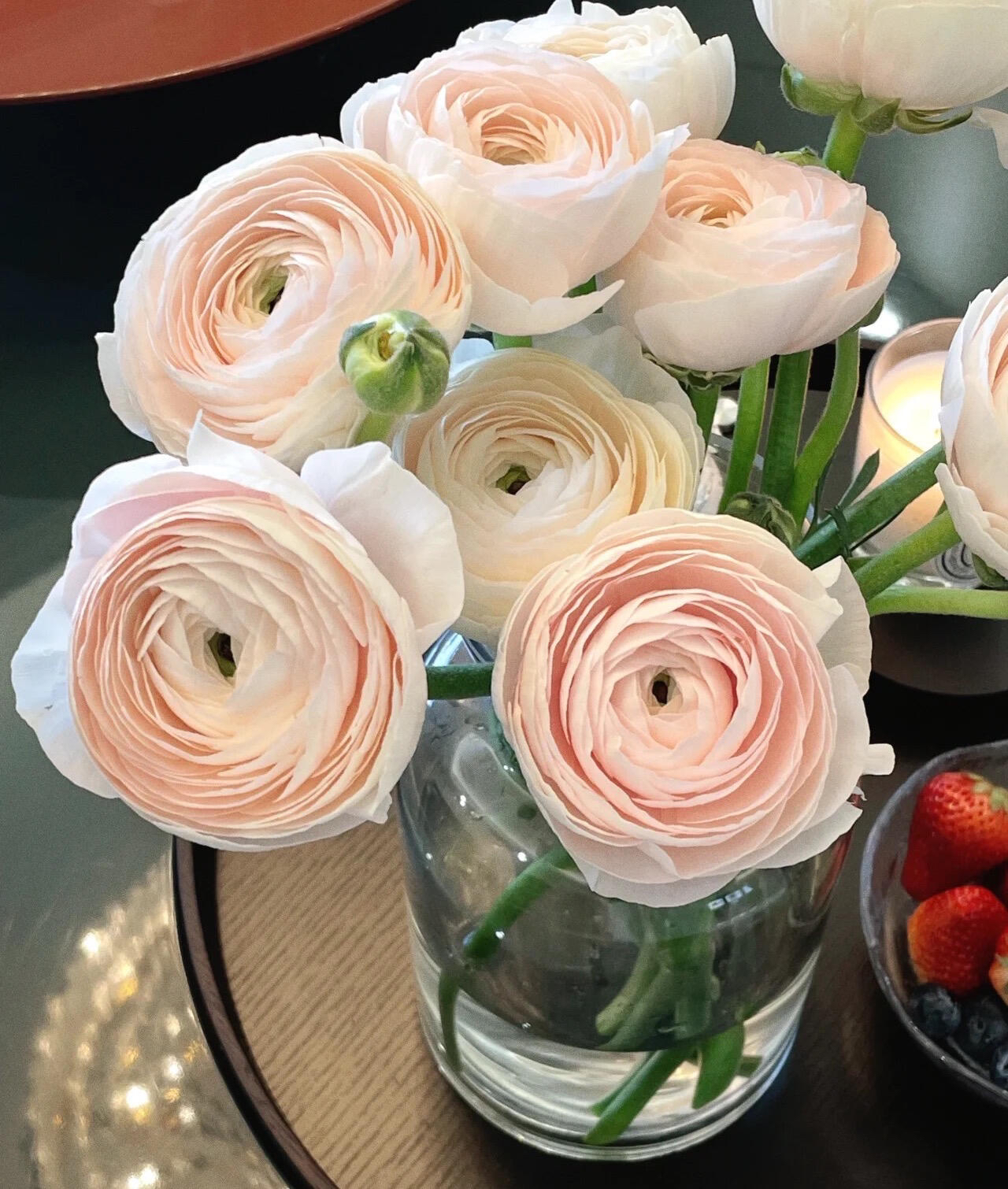 河内成功洋牡丹稀有品种鲜花重瓣水养