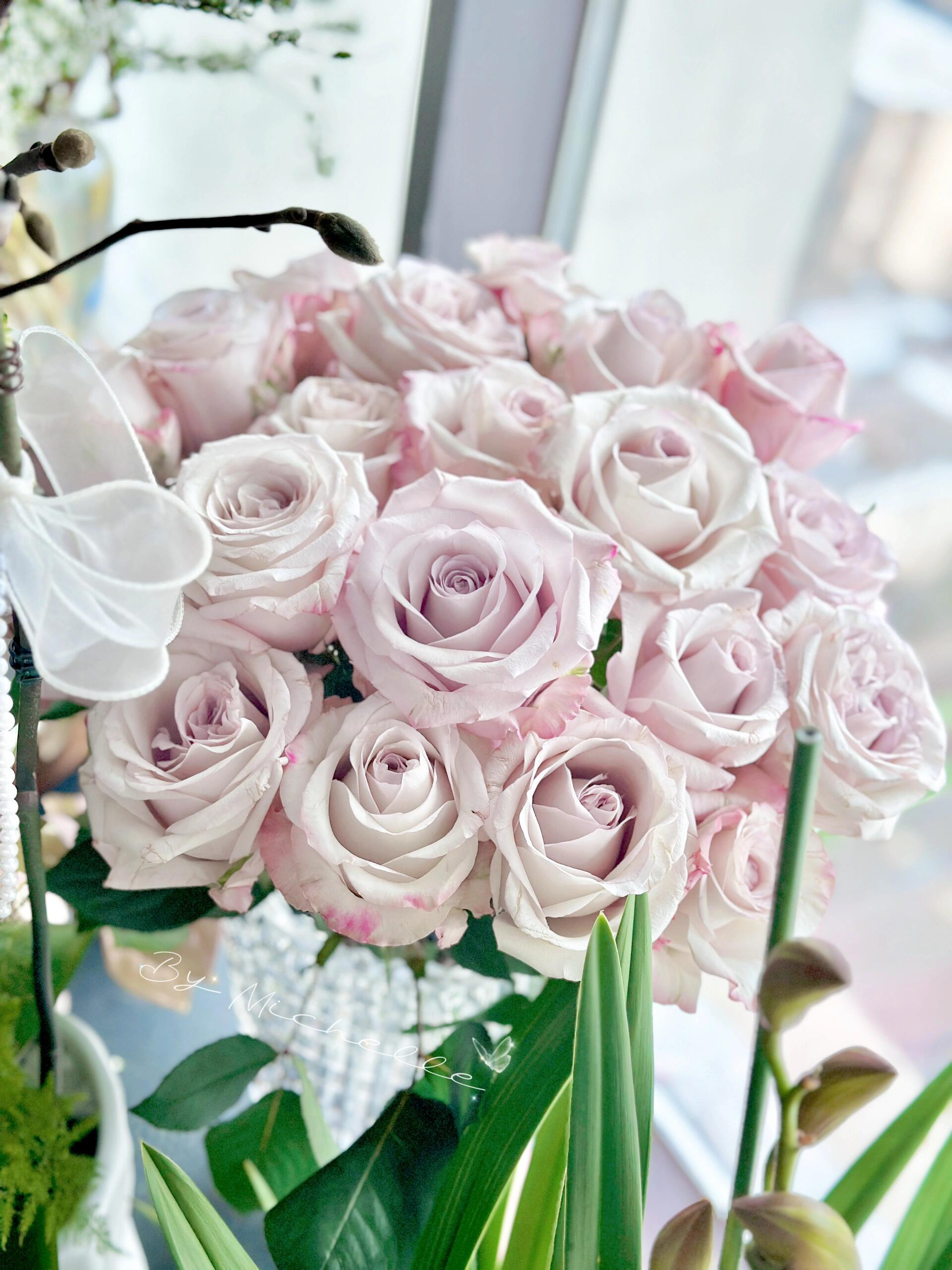 朵拉单头玫瑰稀有品种水培鲜花