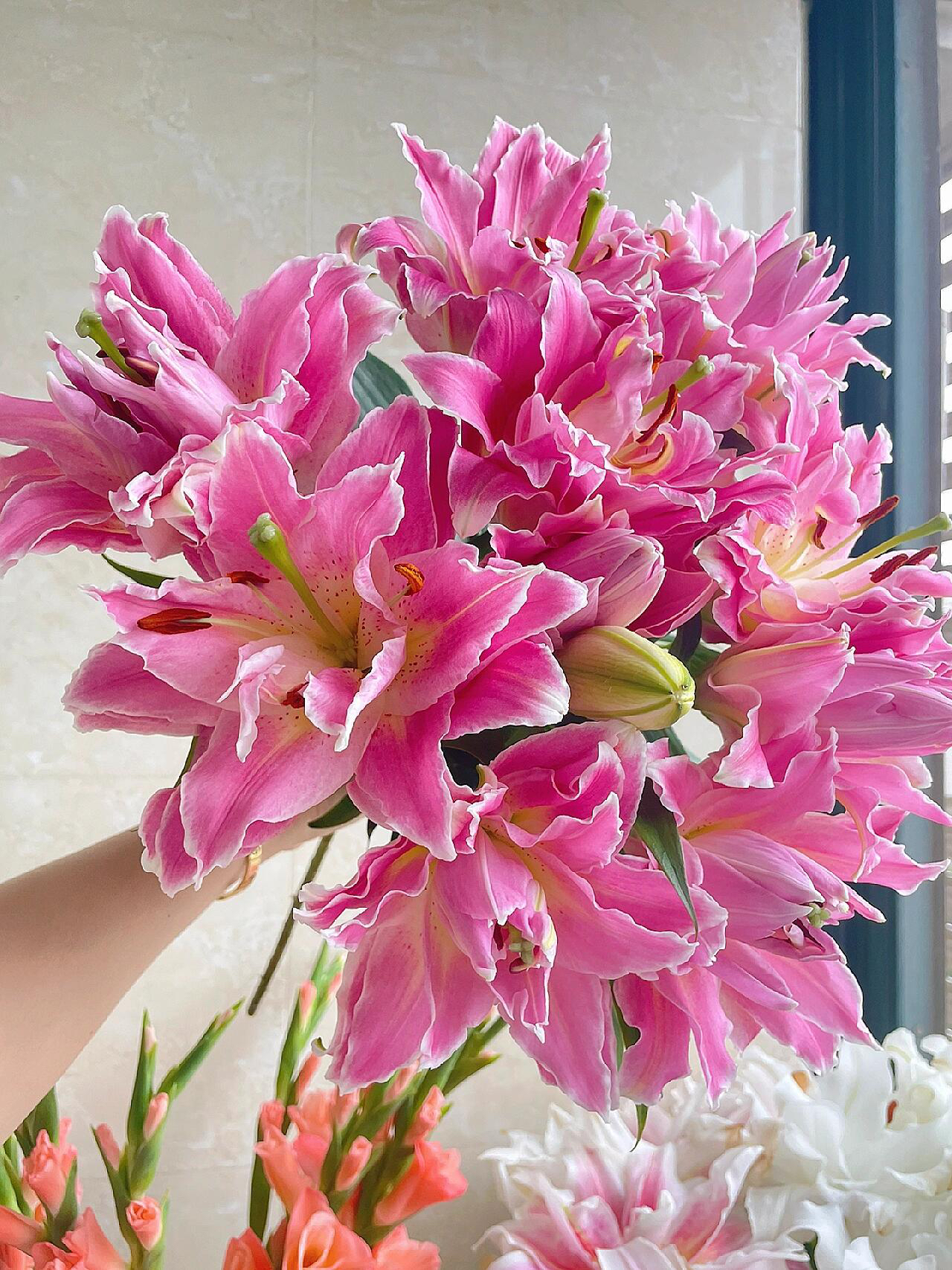 梦想线重瓣百合有香味水养鲜花