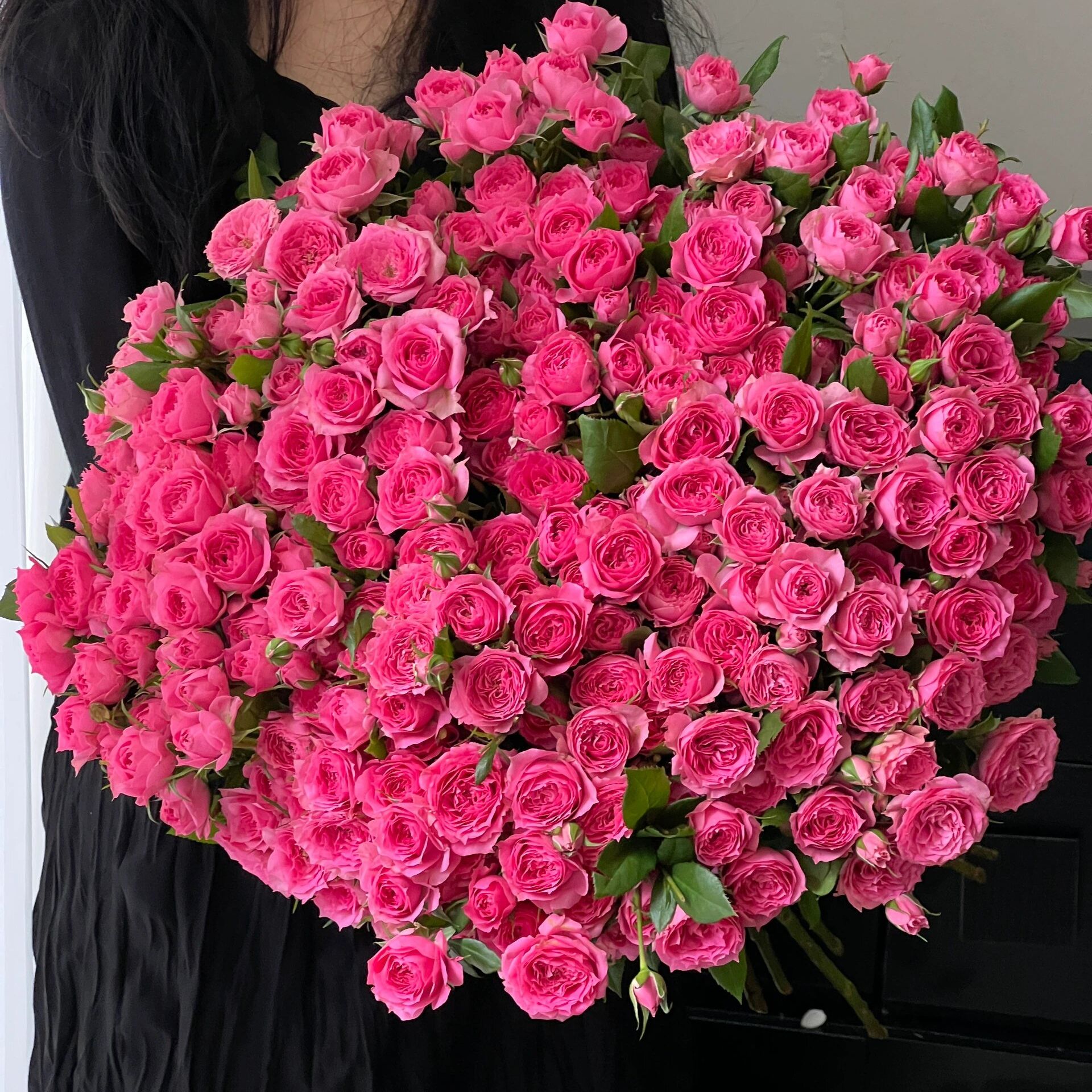 苏菲宝贝多头玫瑰奥斯丁花型水培鲜花