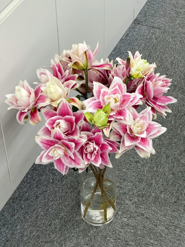 火星之恋重瓣百合有香味稀有水培鲜花百合花多头花束