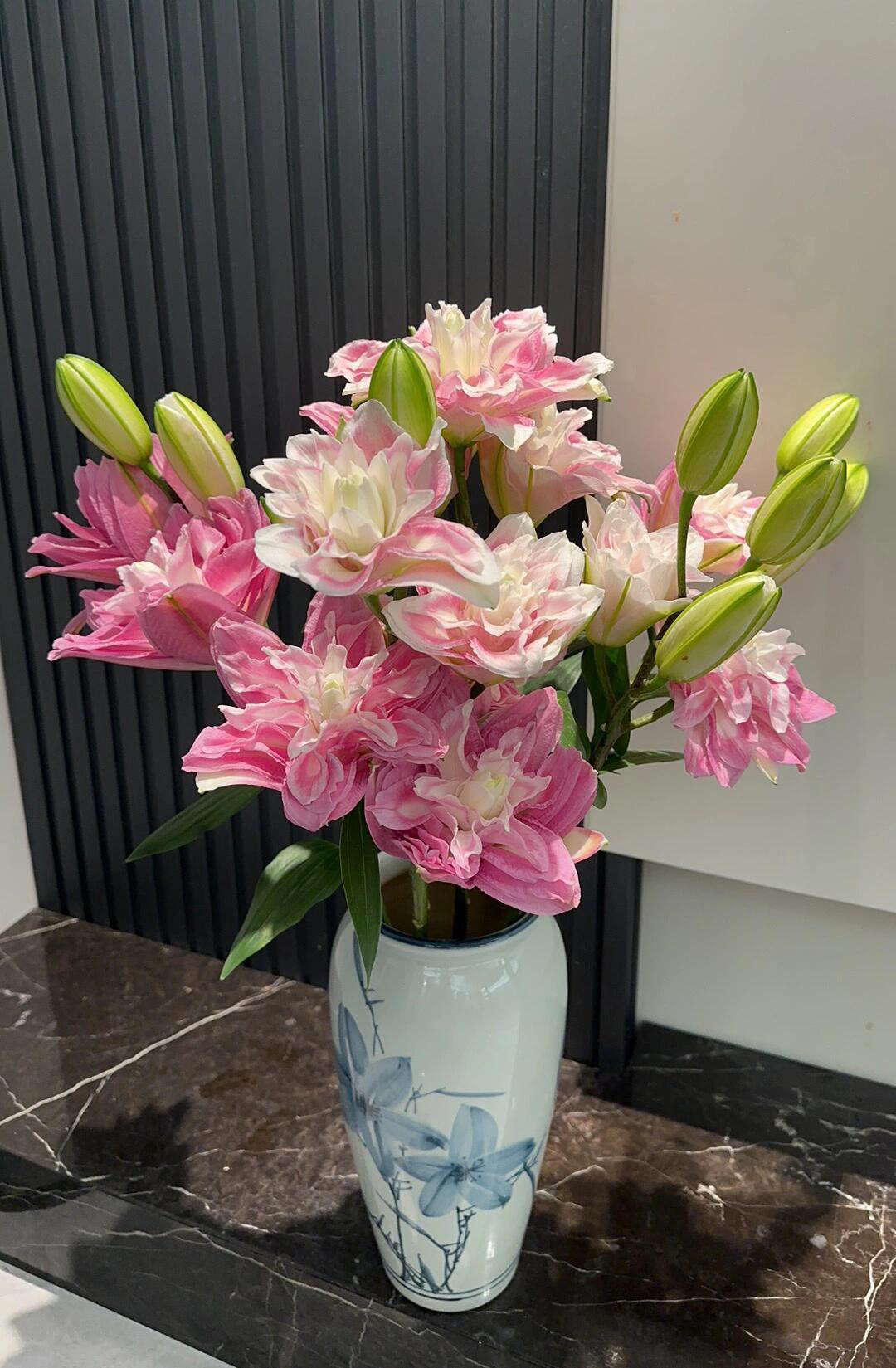 莲花美景重瓣百合有香味水培鲜花