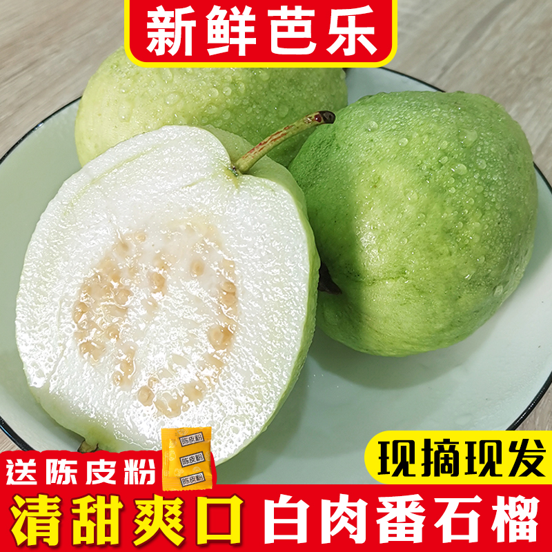 高州新鲜现摘白心番石榴白肉芭乐清甜硬脆低糖水果3/5/9斤