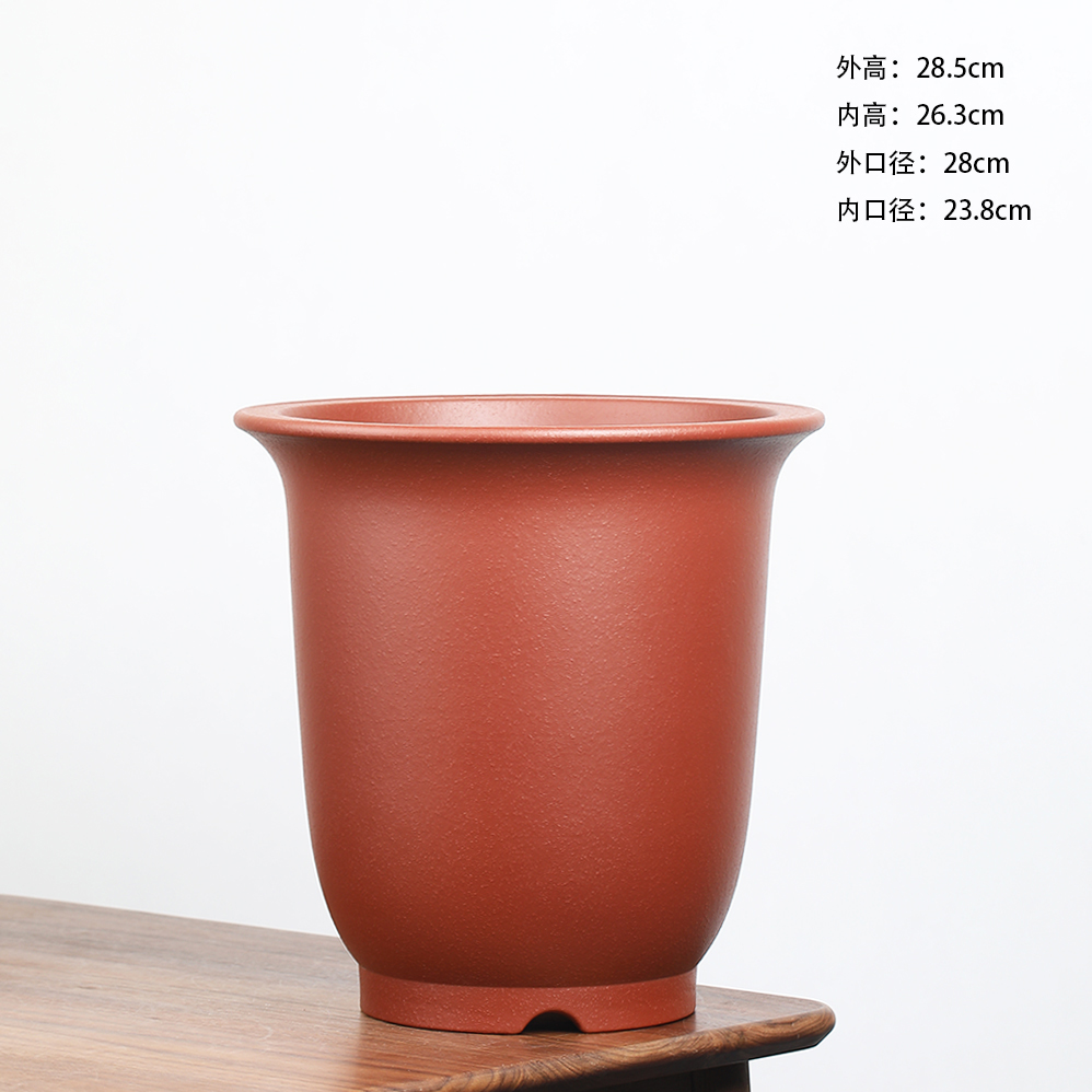 万江全精品高温大红袍大金钟蕙兰建蝴蝶兰枫树盆景树桩室内造景