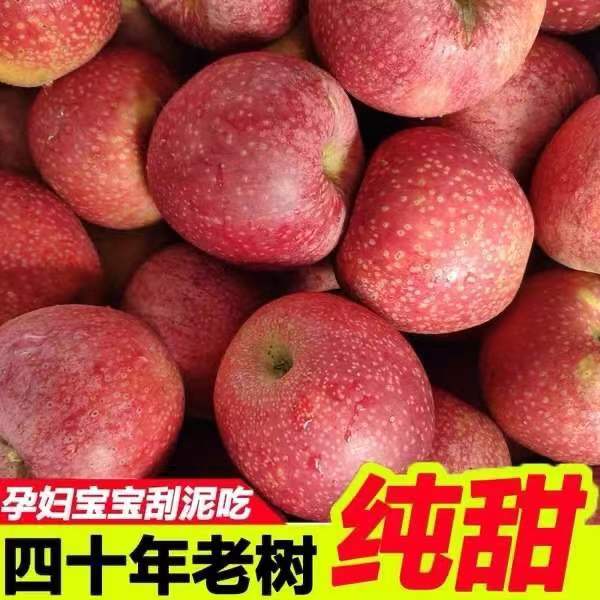 【爆甜】陕西秦冠苹果粉面香甜宝宝刮泥辅食脆粉两吃5-10斤包邮