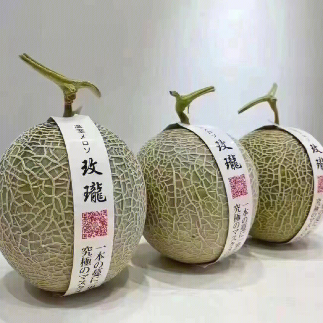 玫珑网文蜜瓜 甜瓜单果2.5-3斤左右