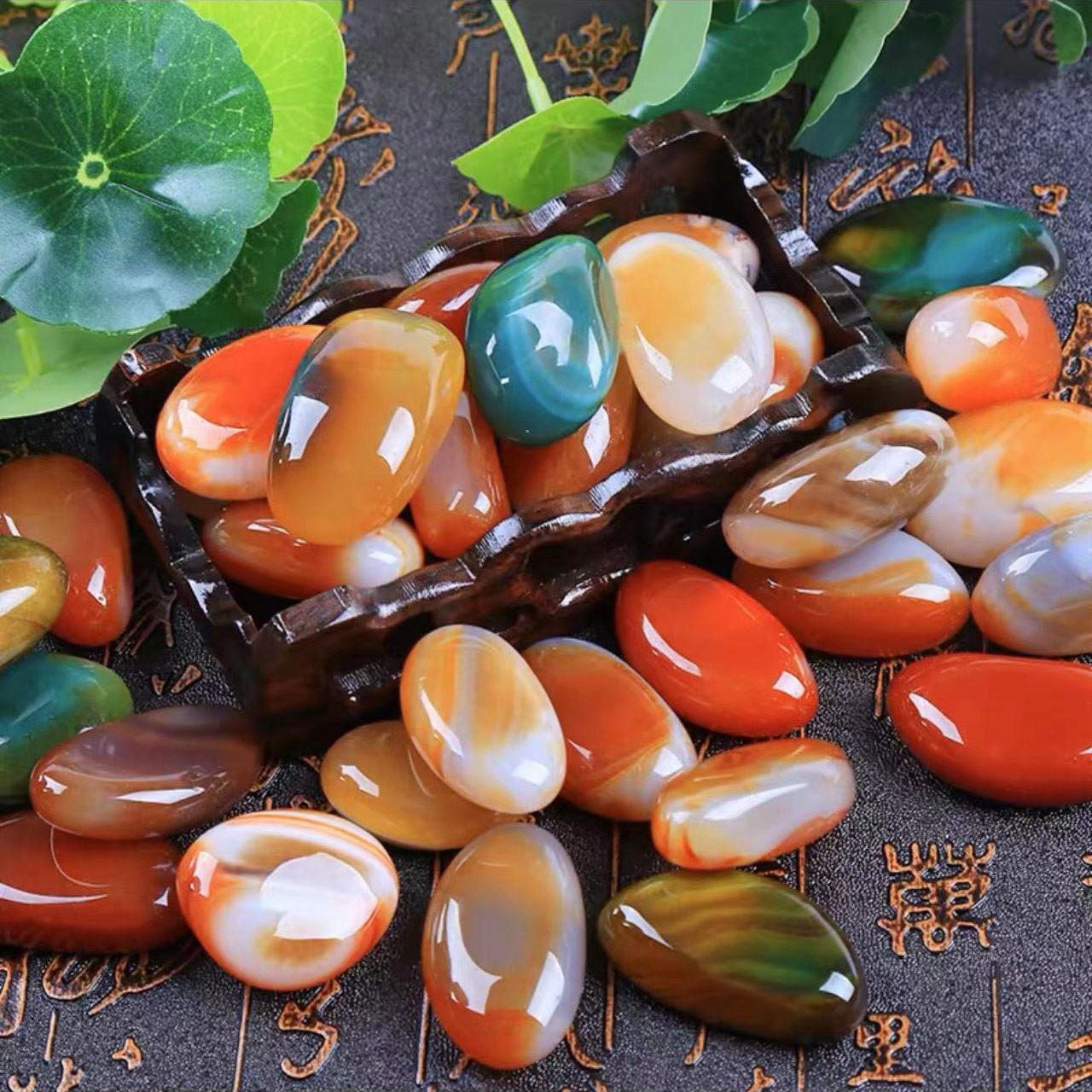 天然新疆彩石盆景石黄蜡石摆件