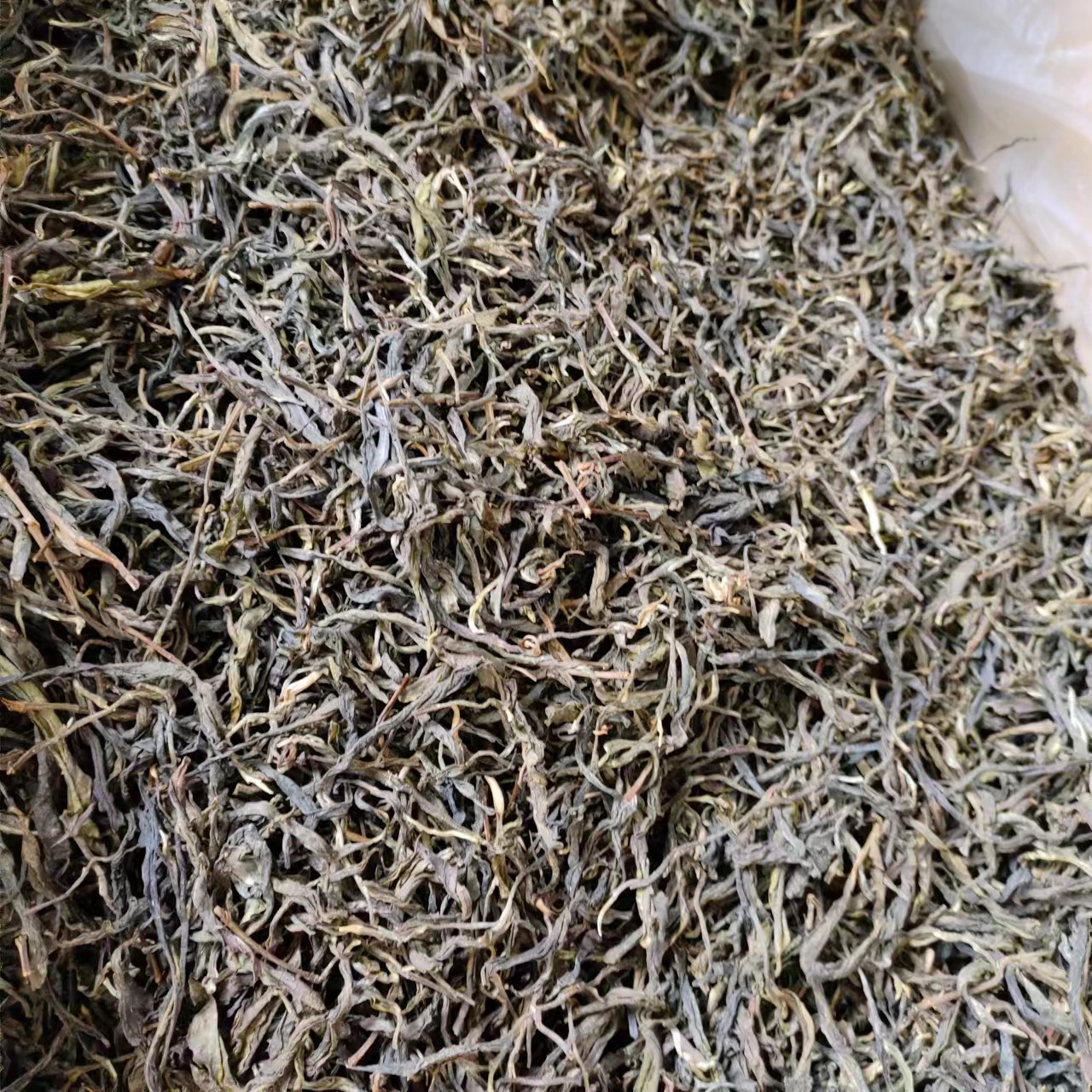 古树散料生茶普洱茶散茶