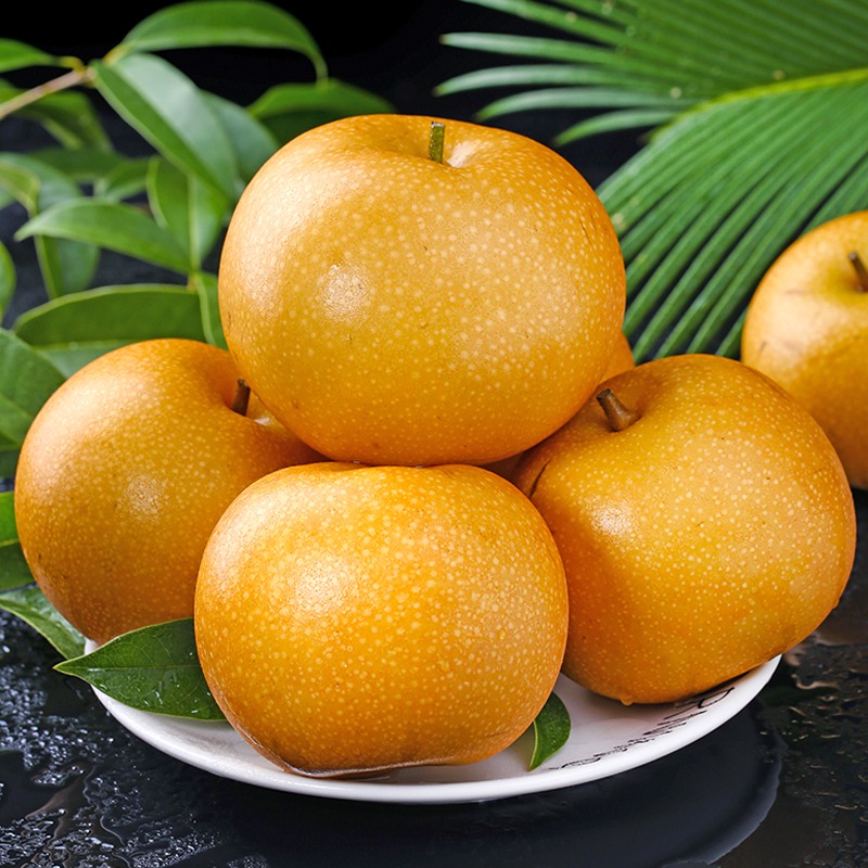 【顺丰发货】秋月梨脆甜多汁包邮当季水果现摘现发黄金梨甘甜多汁