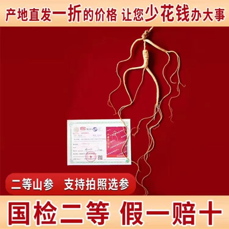 国检二等参长白山人参礼盒山参送礼80/60可选滋补100%纯正人参