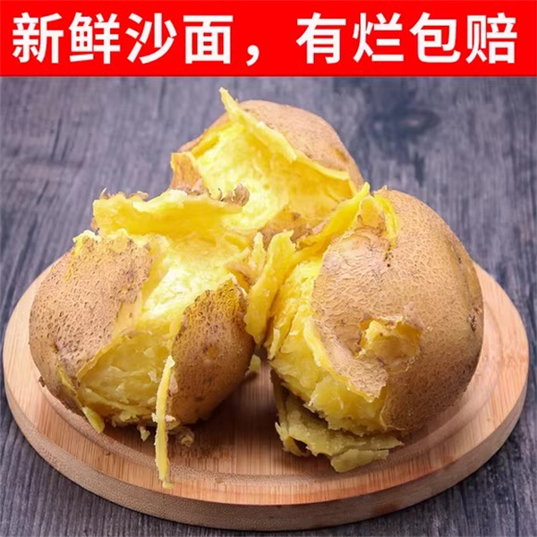 四川现挖黄心土豆沙面软糯农家自种马铃薯小洋芋新鲜应季蔬菜批发