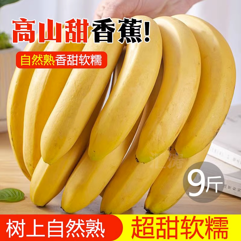 正宗广西香蕉新鲜当季水果香蕉直销现摘芭蕉2-9斤绿色饱满采摘