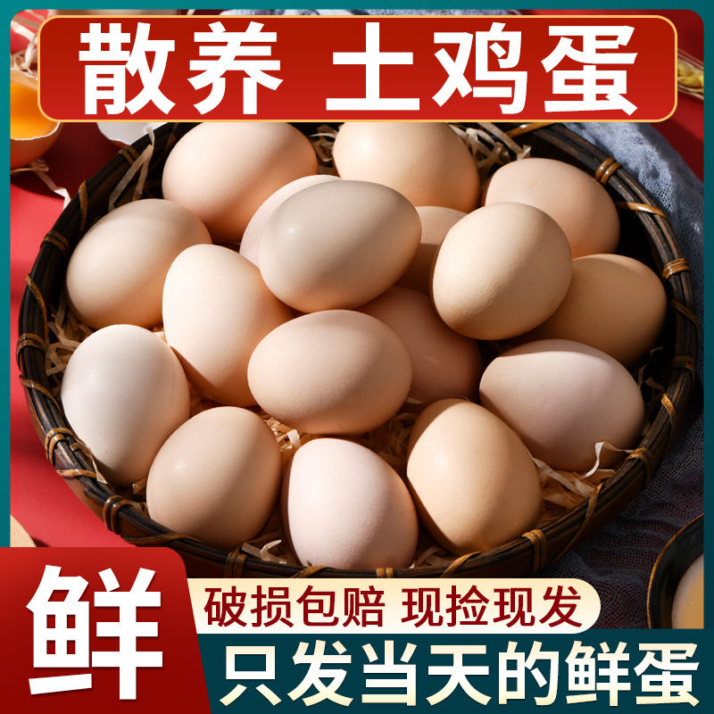 土鸡蛋农家散养新鲜农产品正宗笨鸡蛋农村自养柴鸡蛋鸡蛋营养健康