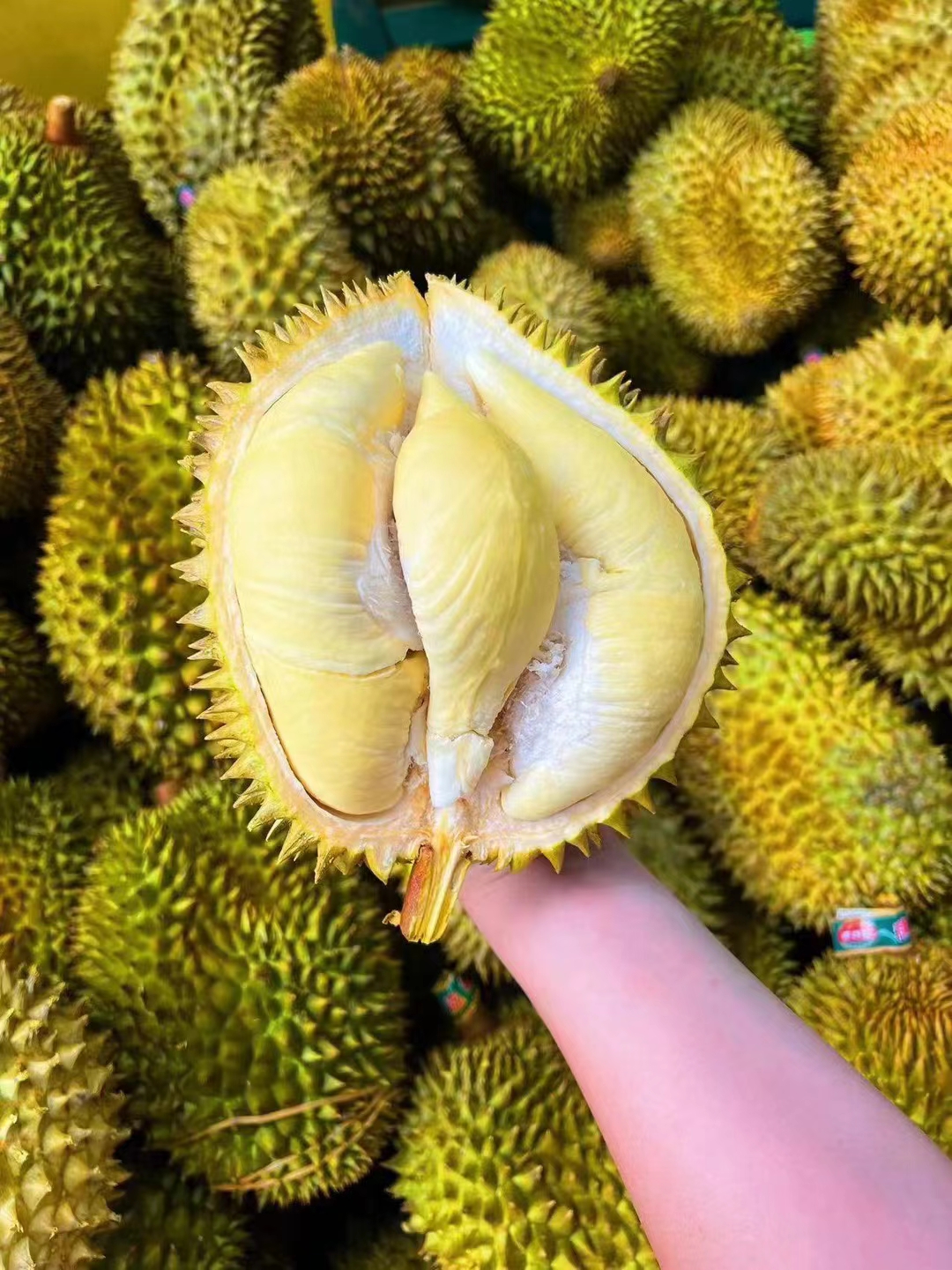 泰国金枕榴莲(一果一拍)榴莲同城配