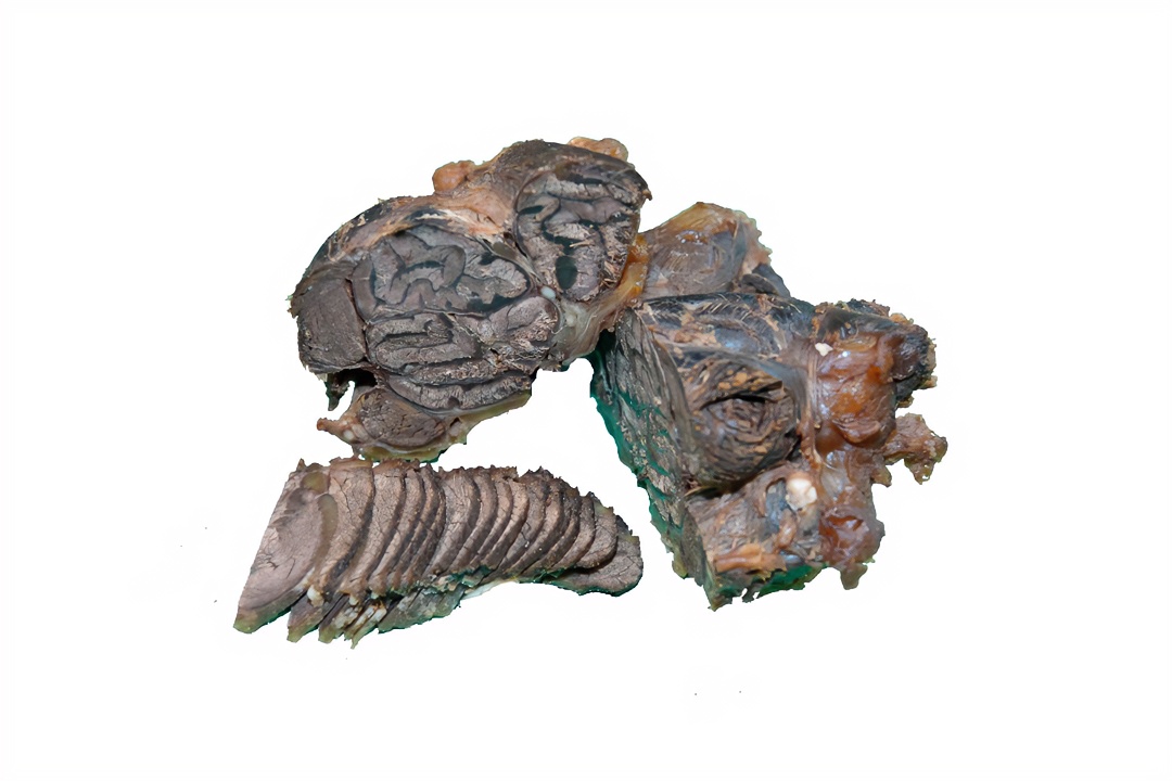 请勿乱拍 现称链接 散养老水牛