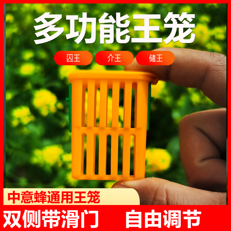 蜜蜂王笼控王邮寄王笼塑料中蜂多功能囚王介王意蜂储王器养蜂工具