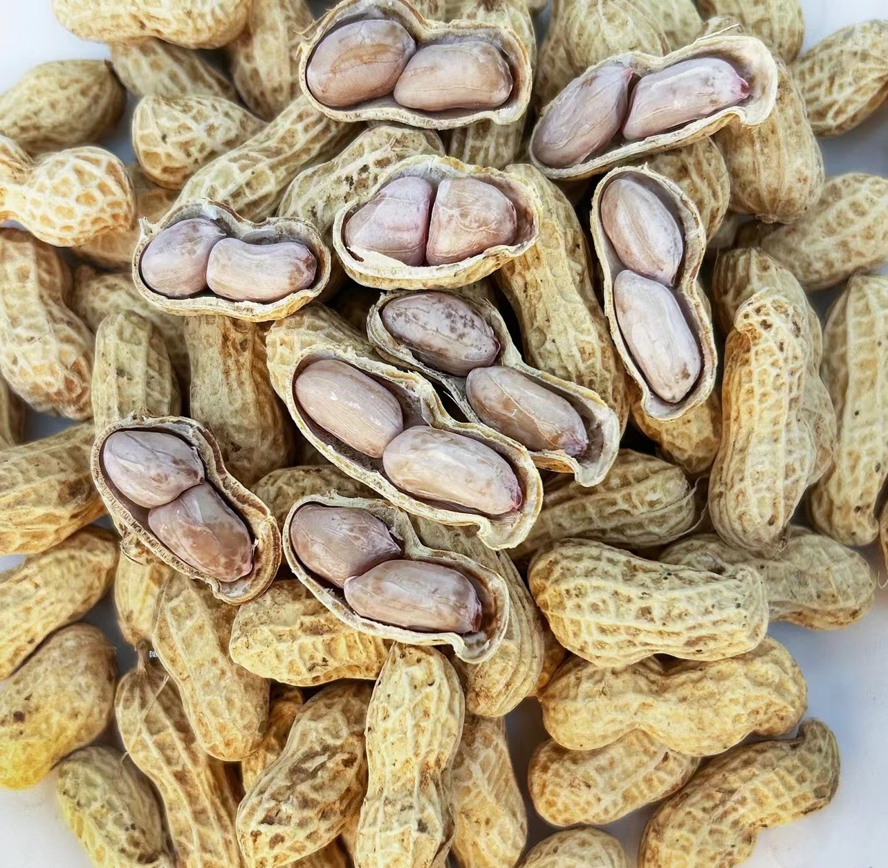 【河源水煮花生】2025年新花生咸干花生口感丰富好好吃不上火零食