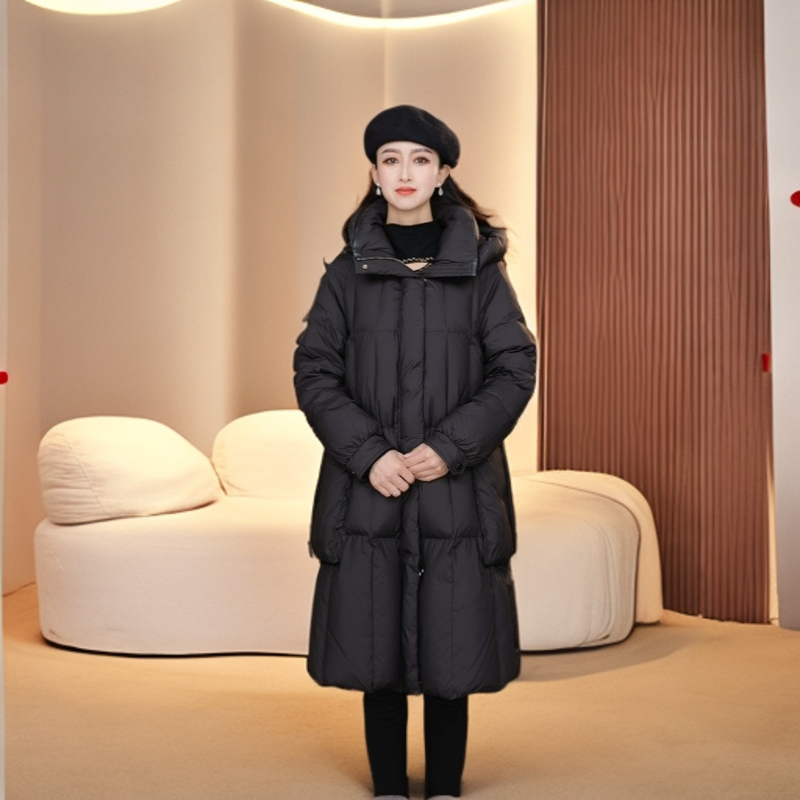 YAYA/鸭鸭新款气质羽绒服