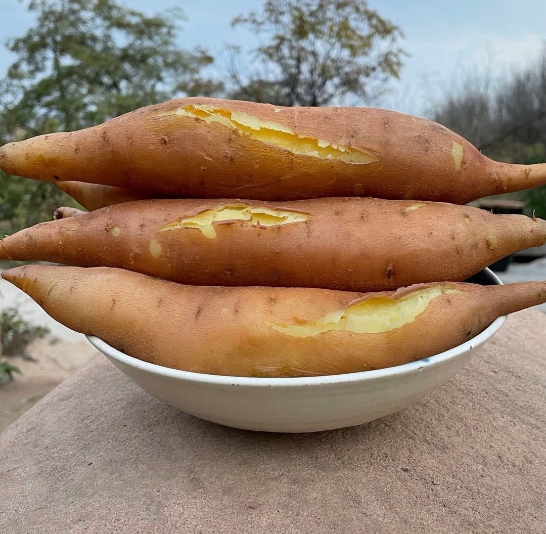 陕北山地红薯软糯香甜