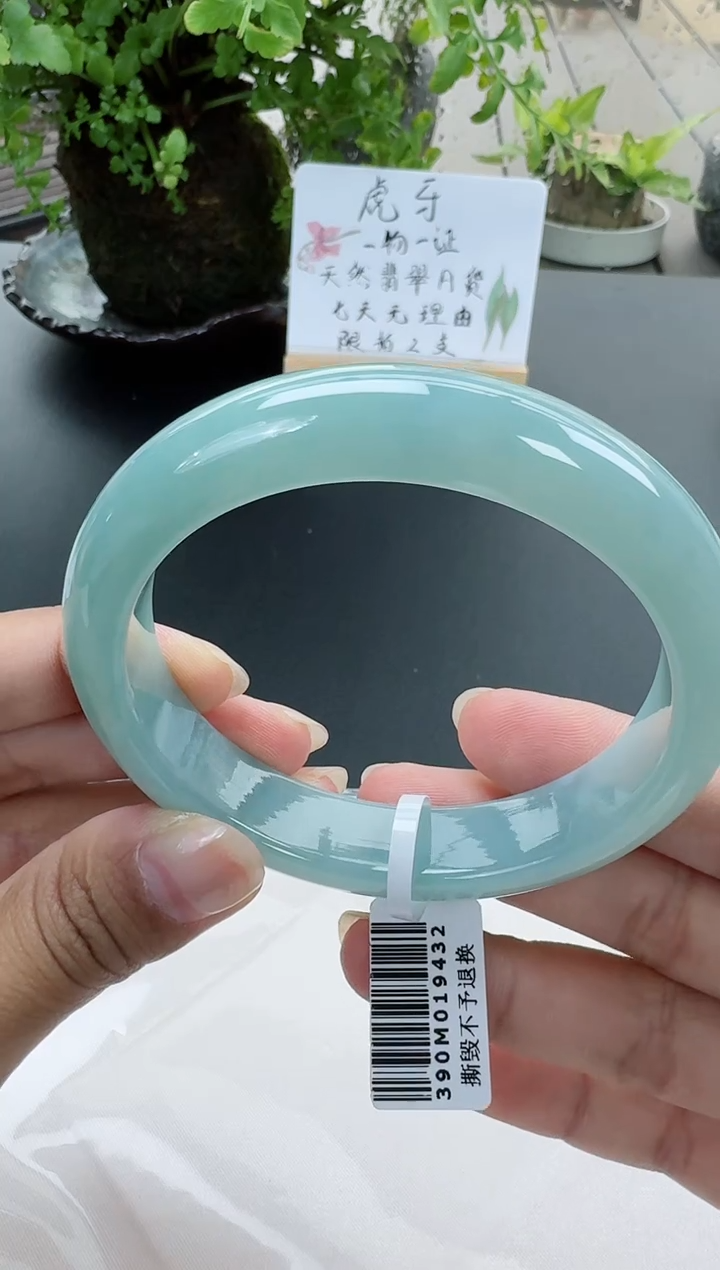 【闪购商品】翡翠手镯未镶嵌翡翠手镯圈口58.9