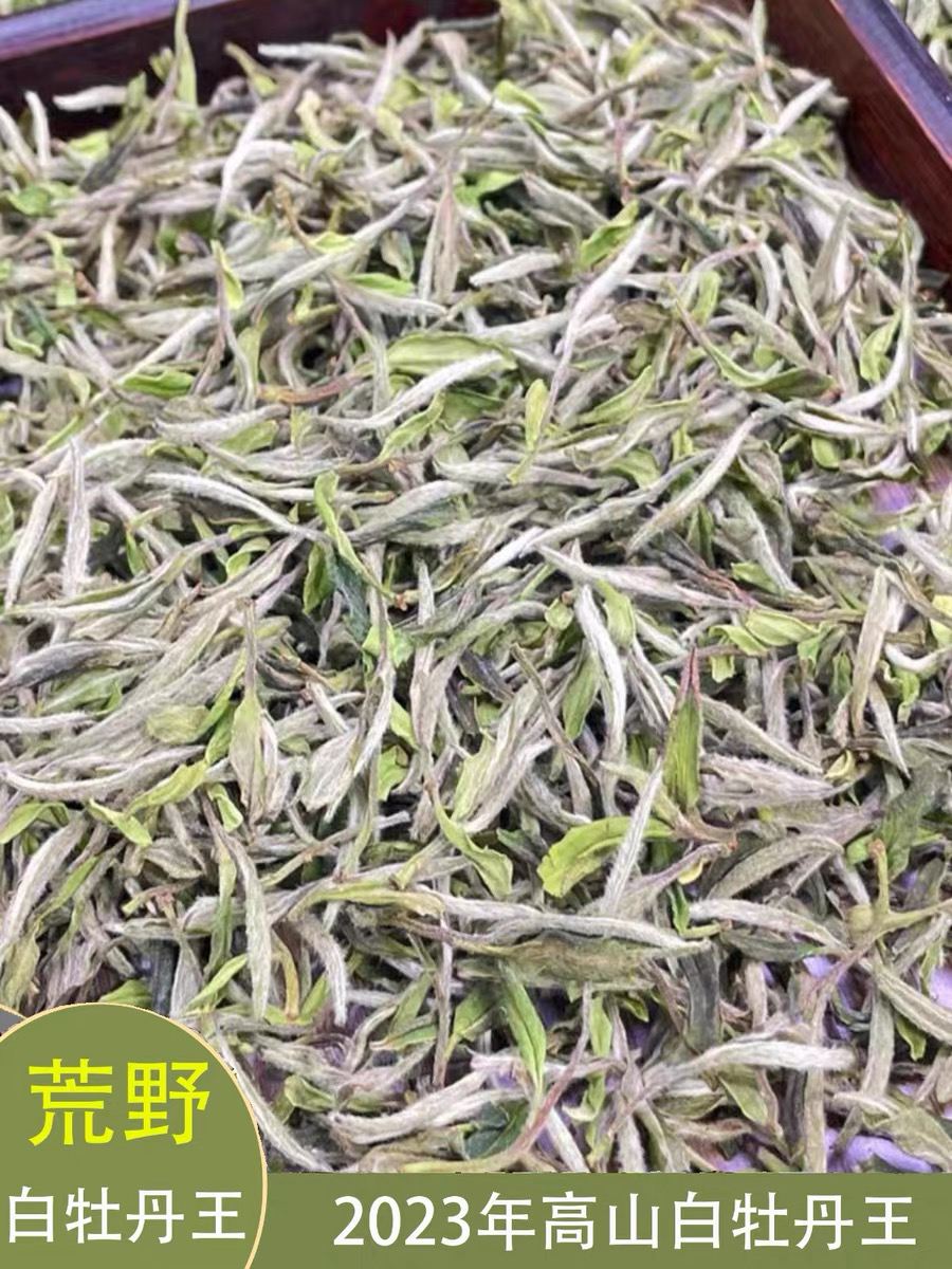 福建高山白茶2023年福鼎核心产区荒野掰树牡丹王花香浓郁特级白茶