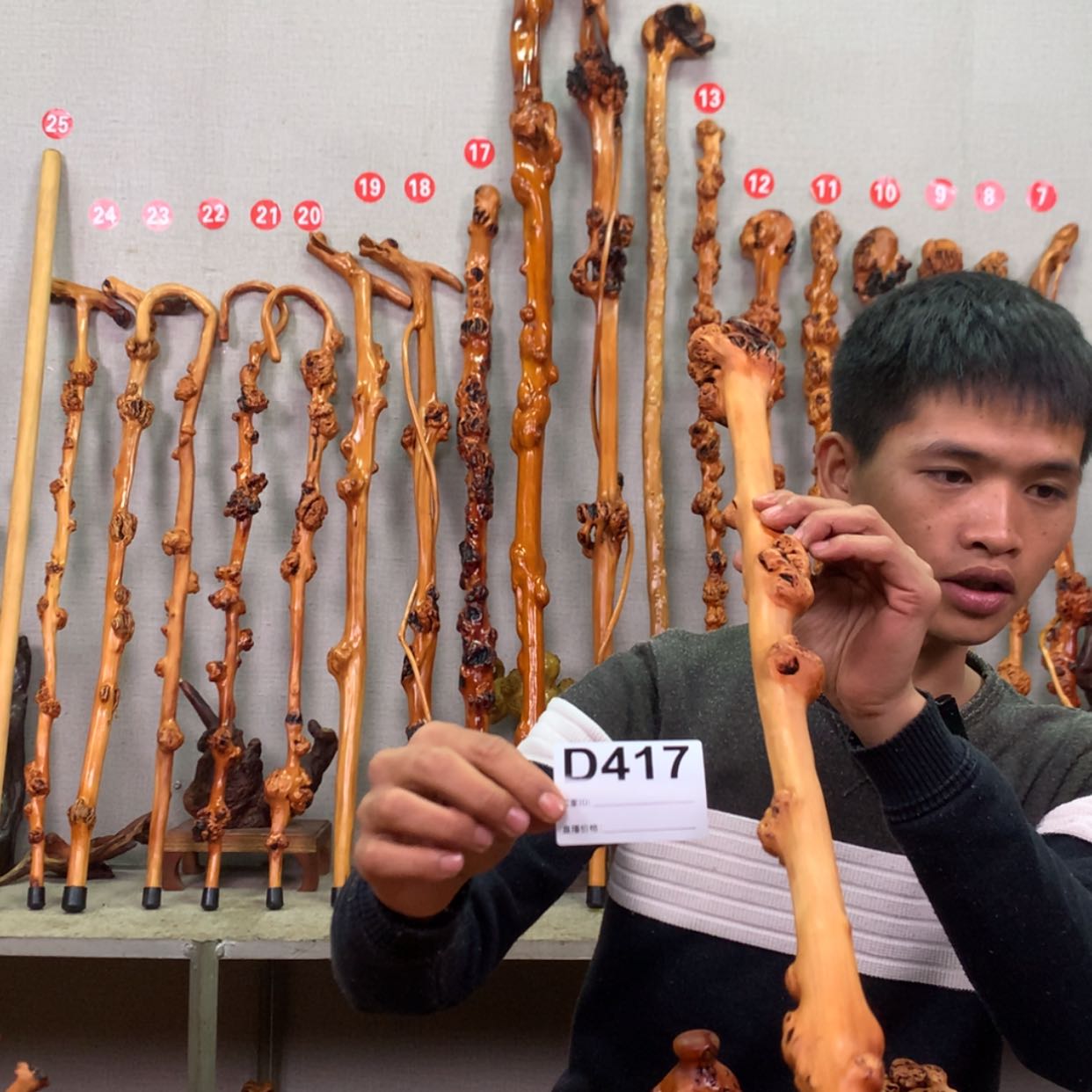 【闪购商品】黑果木，417根雕立****砼