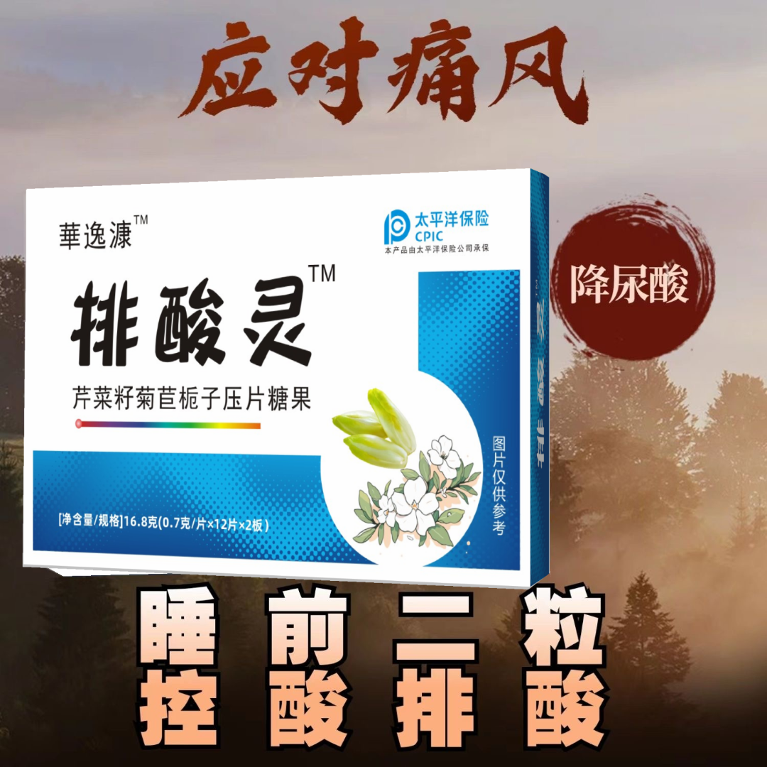 華逸漮排酸灵菊苣栀子去痛风降酸排酸溶结晶尿酸高嘌呤关节肿热痛
