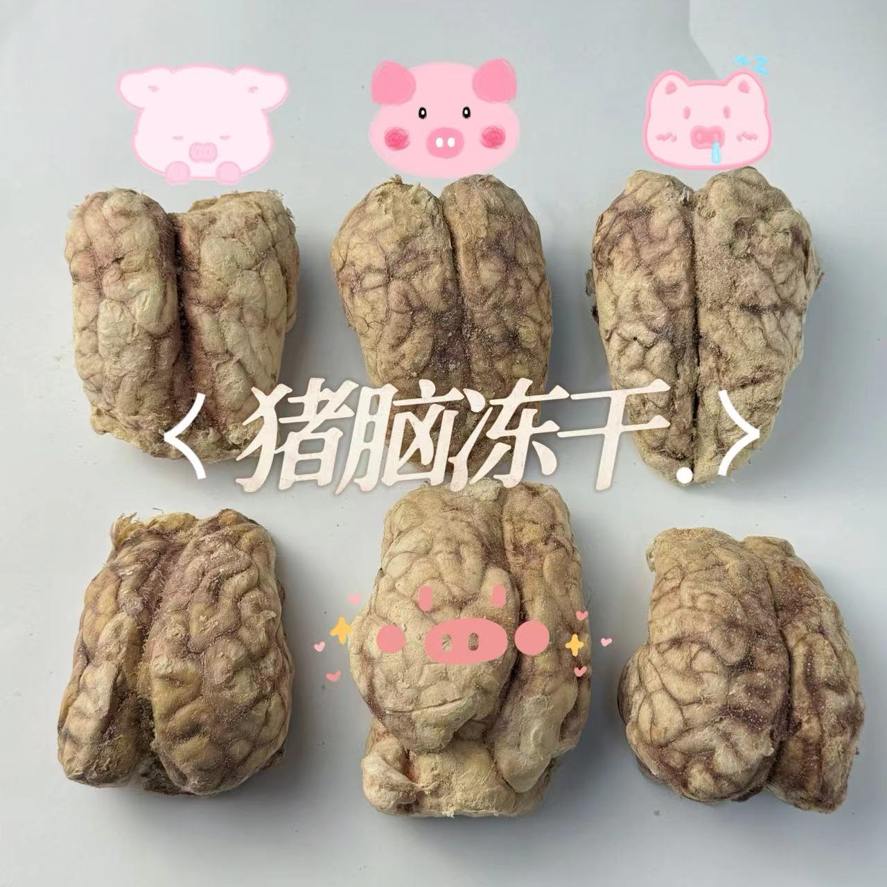 【超萌好物】冻干猪脑促进伤口愈合营养健康新鲜0添加