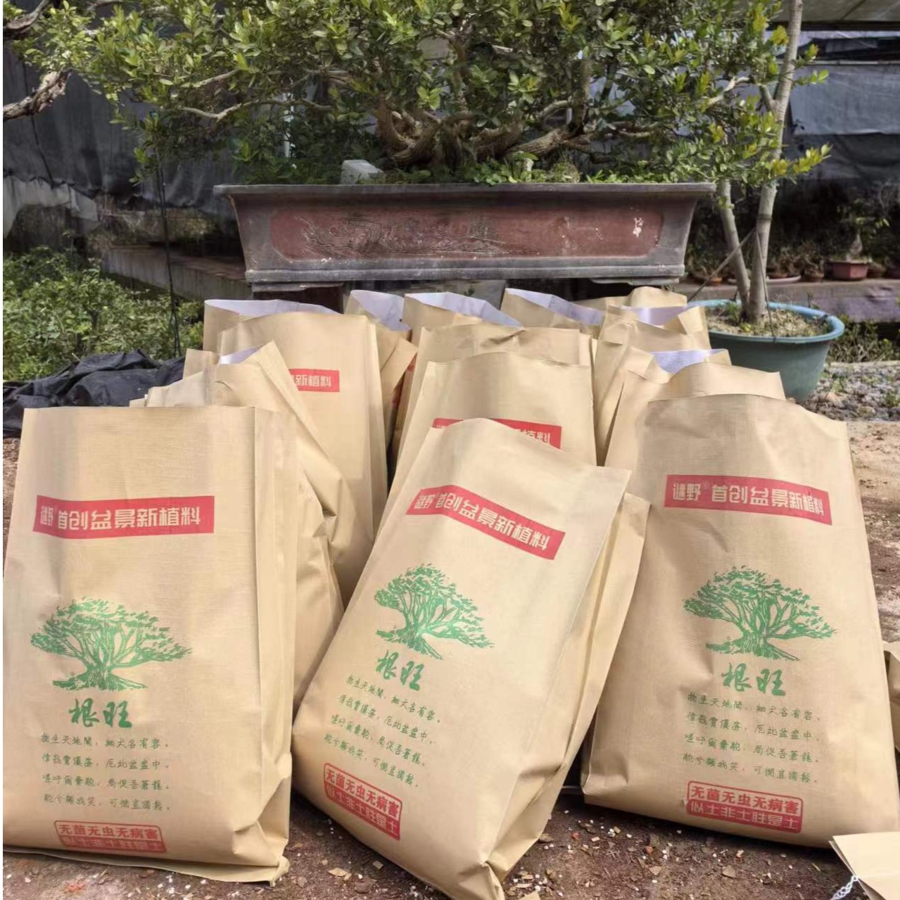 谜野 盆景植料1袋 勿单独使用