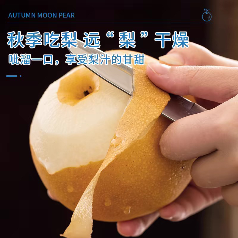 【马小跳秋月梨】莱阳正宗秋月梨顺丰专属冷链产地直发