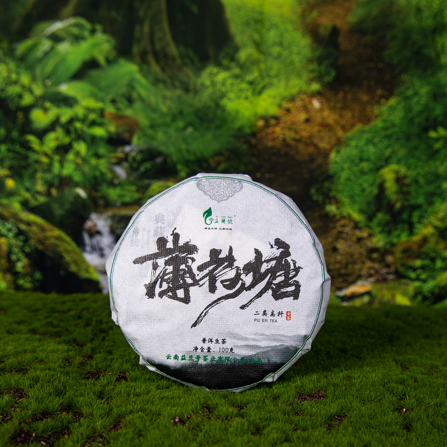 2023年 薄荷塘古树普洱茶生茶