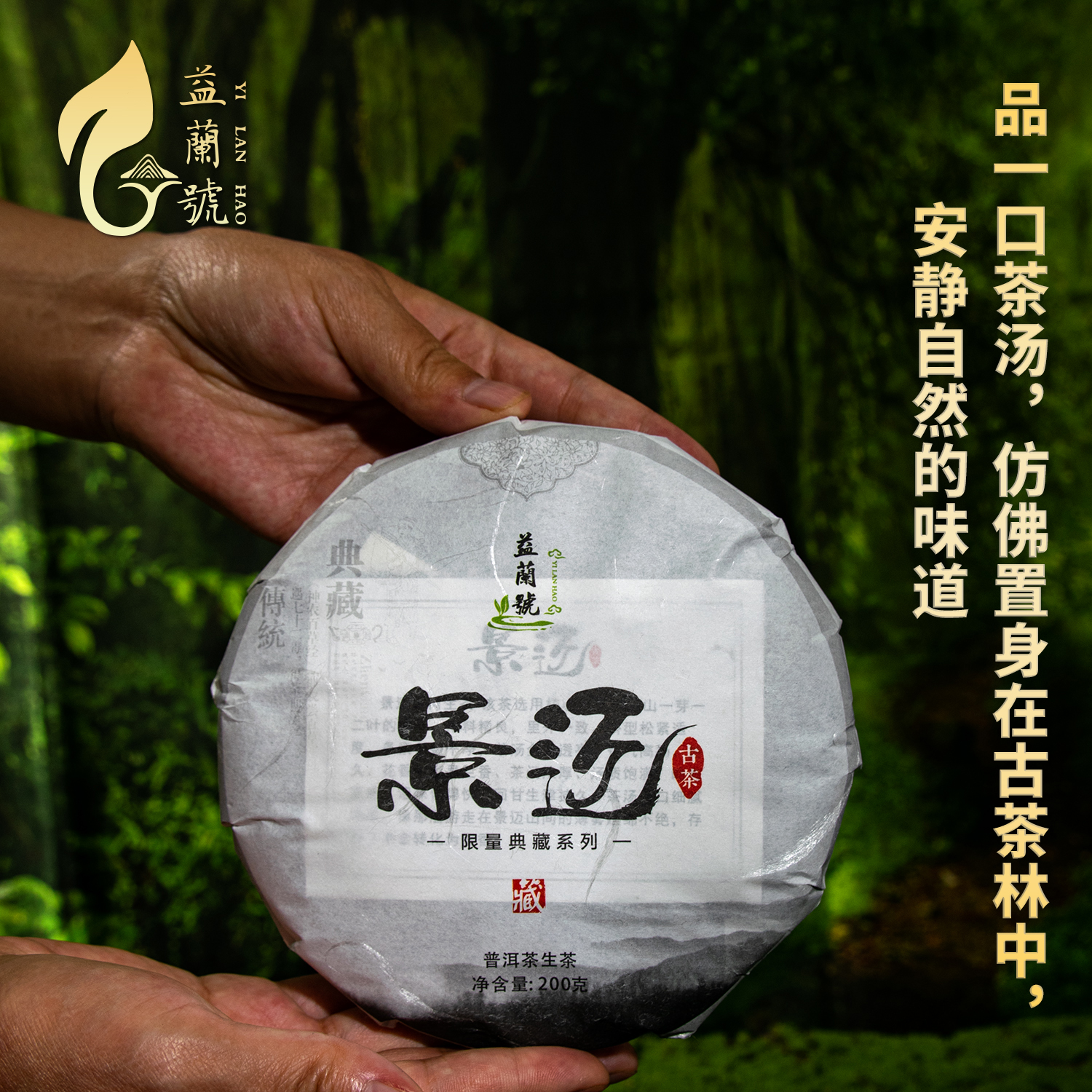 景迈古茶片采 生茶200克茶饼