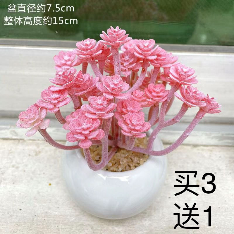 仿真多肉仙人科塑料假花小盆景仿真花摆件迷你假绿植桌面室内盆栽