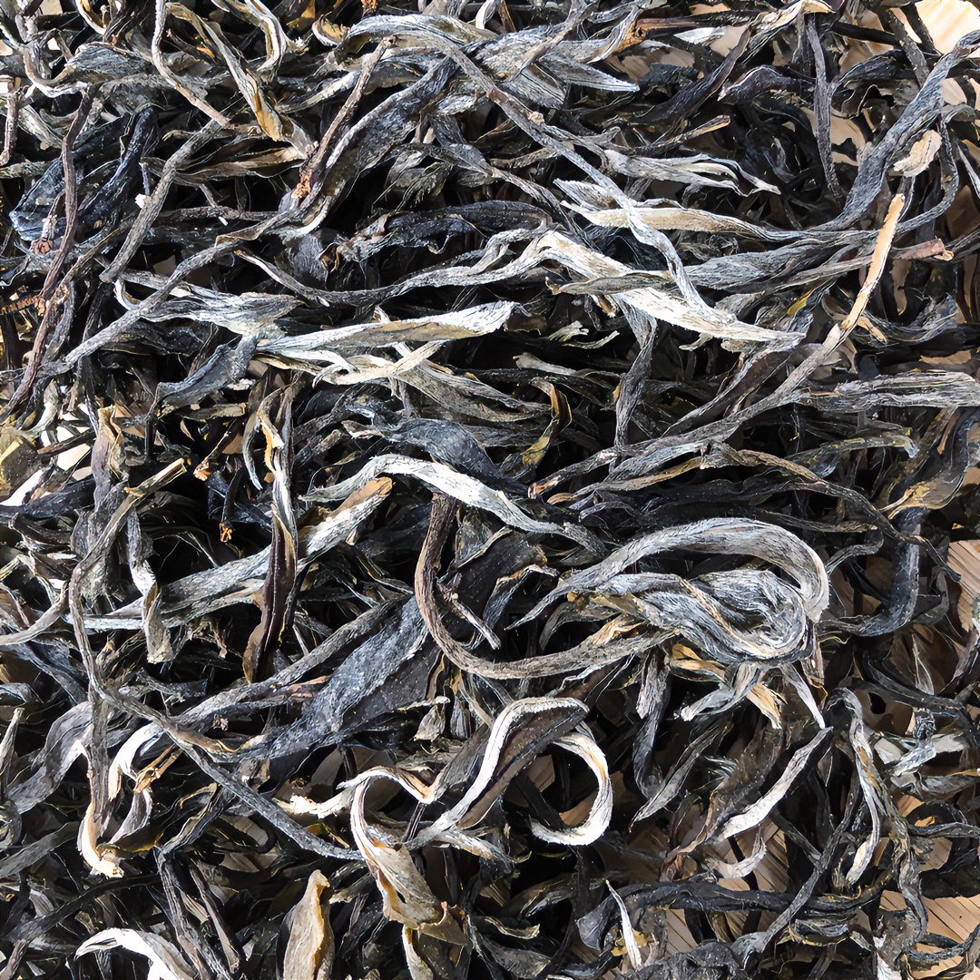 云南临沧茶区阿络廷2024年大雪山  混采  花果香通用袋装生茶