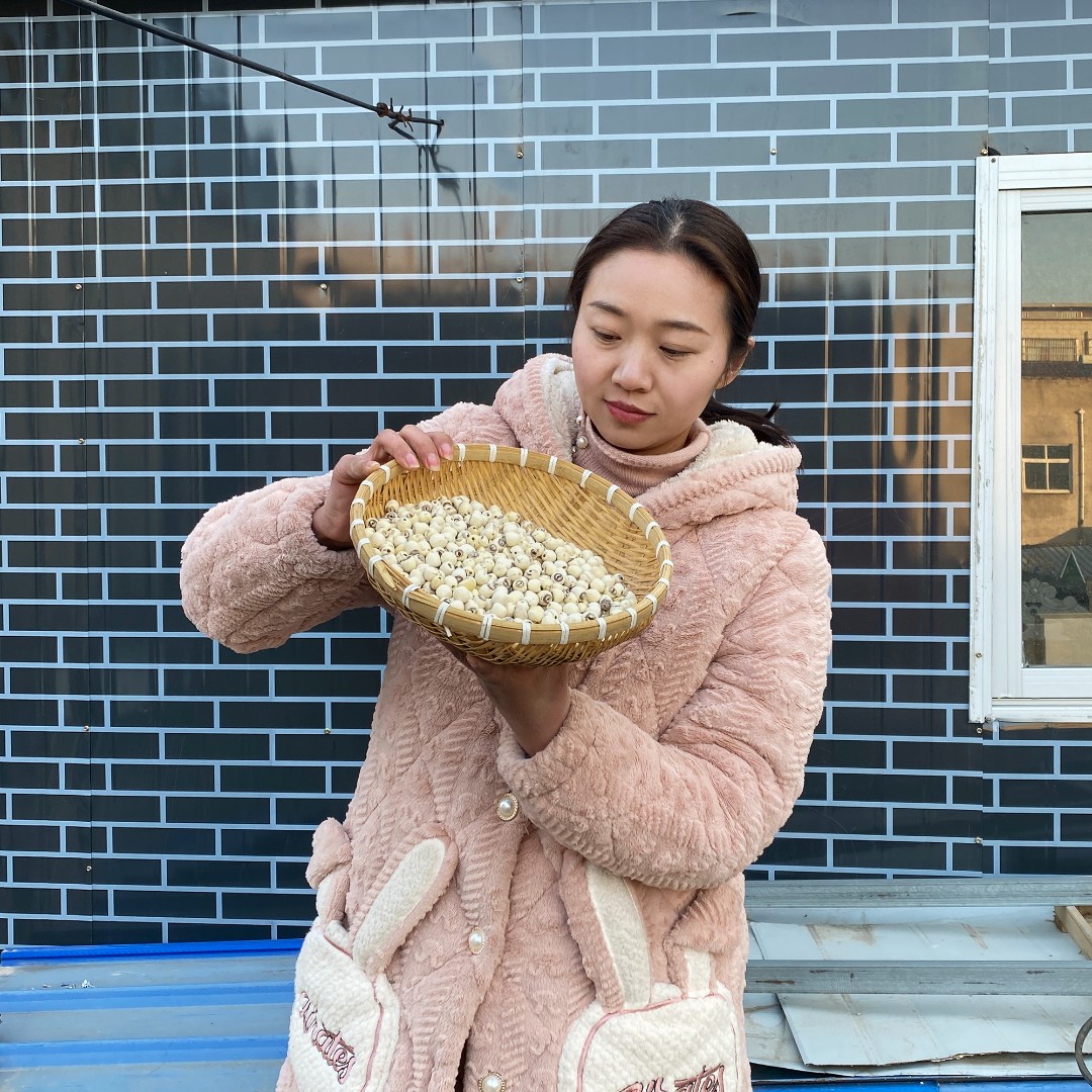 湖南湘潭  特产白莲子去芯莲米100g
