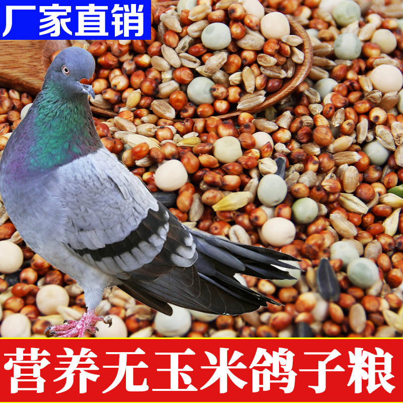 鸽子粮食信鸽成幼鸽鸽粮10斤20斤有无玉米鸽粮特价营养豌豆鸟粮食