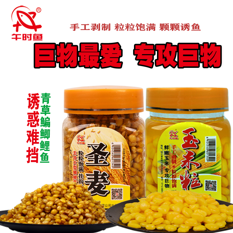 午时鱼巨物玉米粒鱼饵黑坑野钓水库草鱼鲤鱼新鲜嫩玉米钓饵窝料