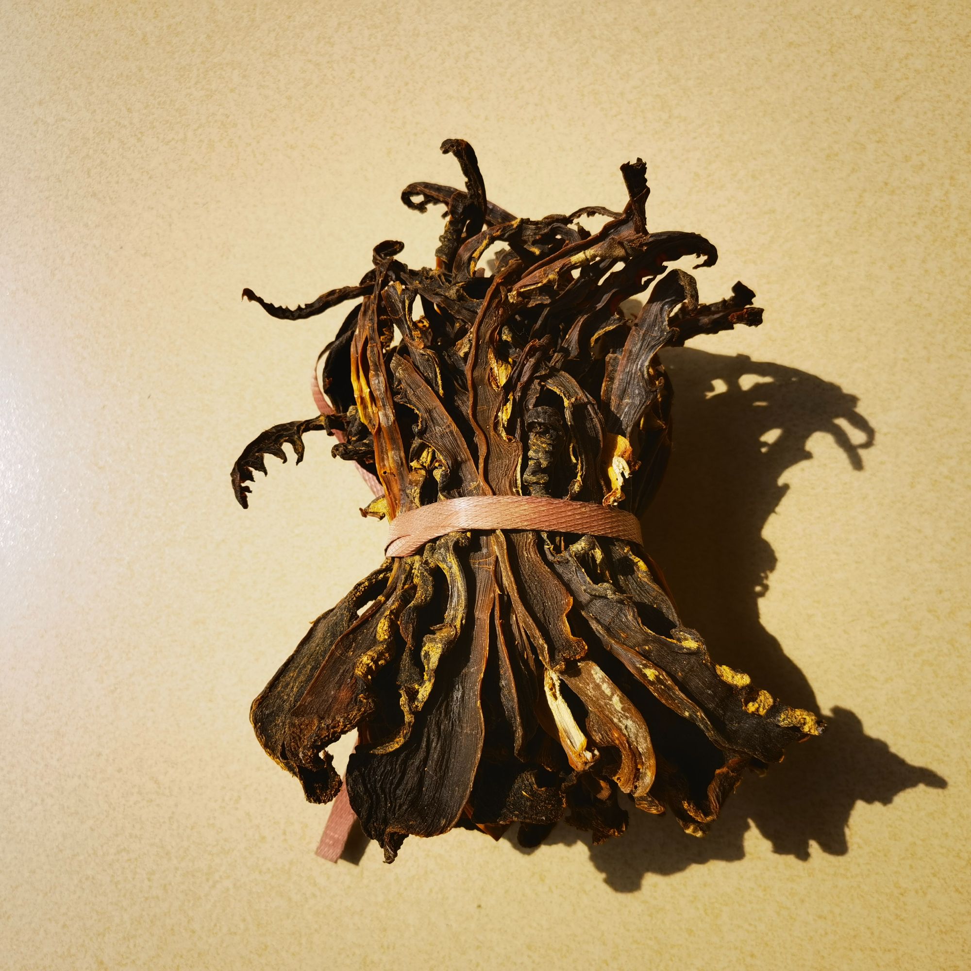 加益镇义昌江源头麻笋干500g精选笋干