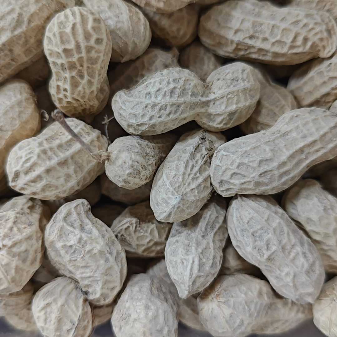 罗定加益农家花生1000g