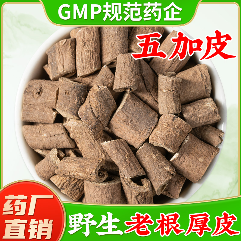 野生五加皮中药材官方旗舰店正品 湖北道地产区南五加皮中药材