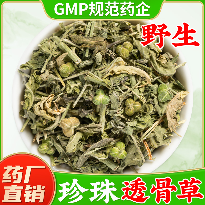 野生透骨草中药材旗舰店正品珍珠透骨草泡水喝通骨草透骨草粉泡脚