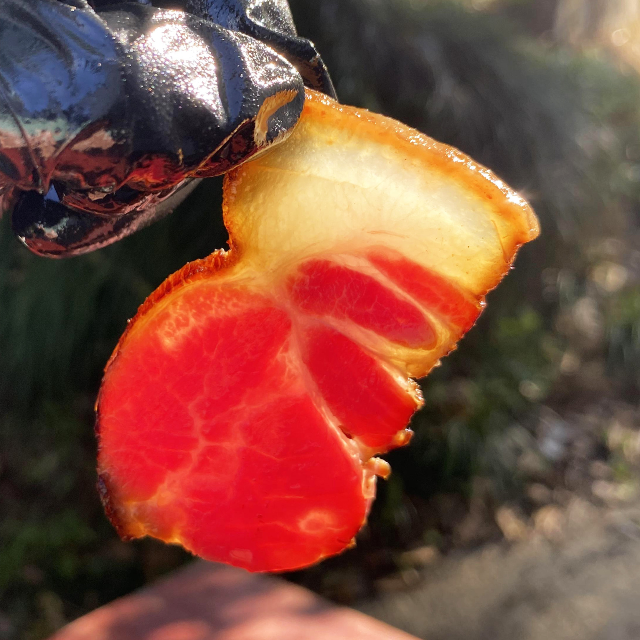 (福利)烟熏腿腊肉 1-10斤 A 农家腊肉土家恩施非四川湖南