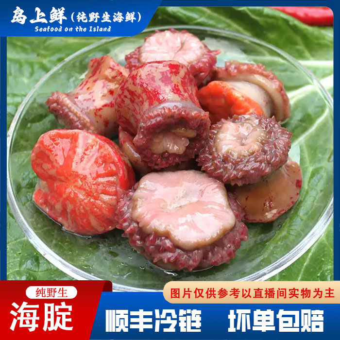 【纯野生--红海腚】又名海葵有大有小，有泥沙自行清洗介意勿拍，