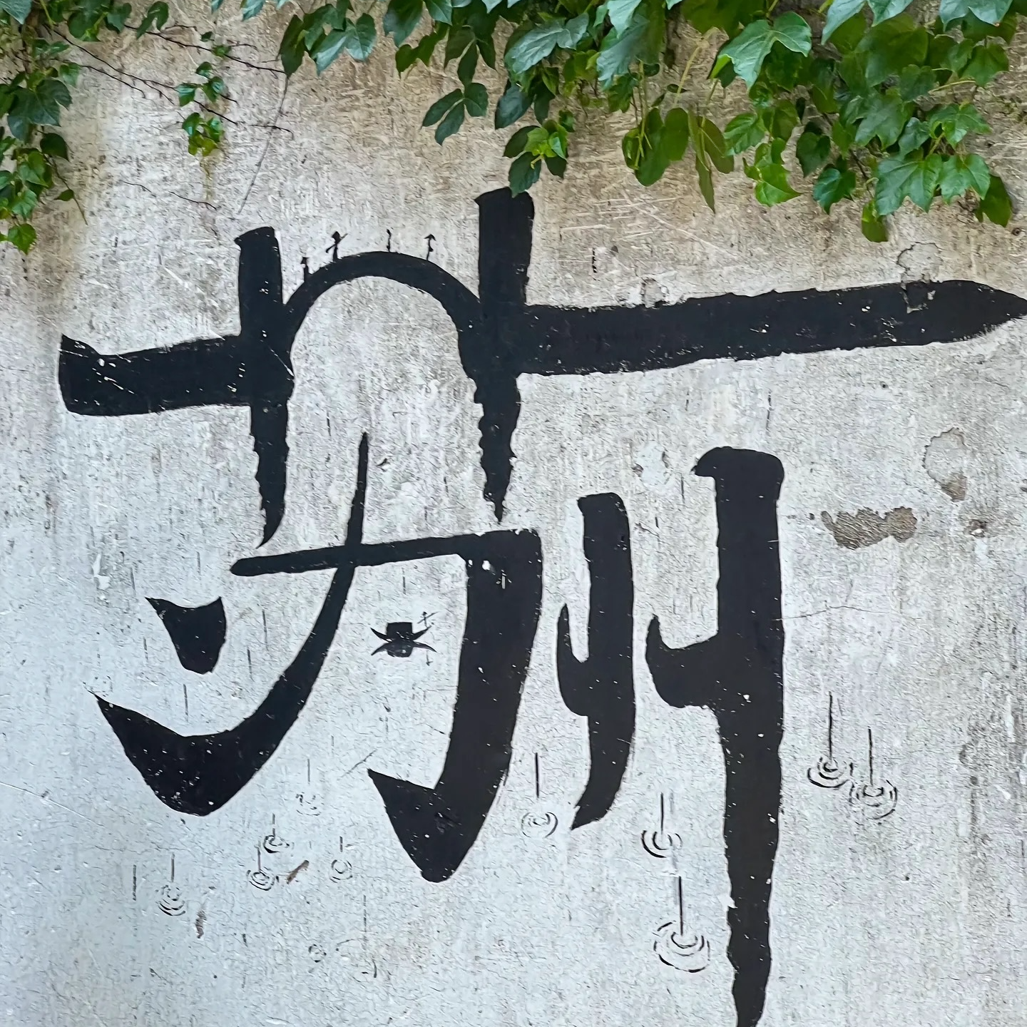 高端定制苏派手工旗袍 T-6580