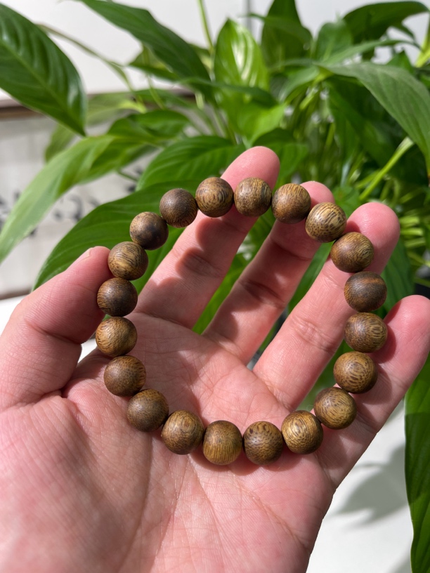 沉香莺歌绿奇楠沉香 9克➕ 乌身圆叶10mm/20颗 金丝黄油