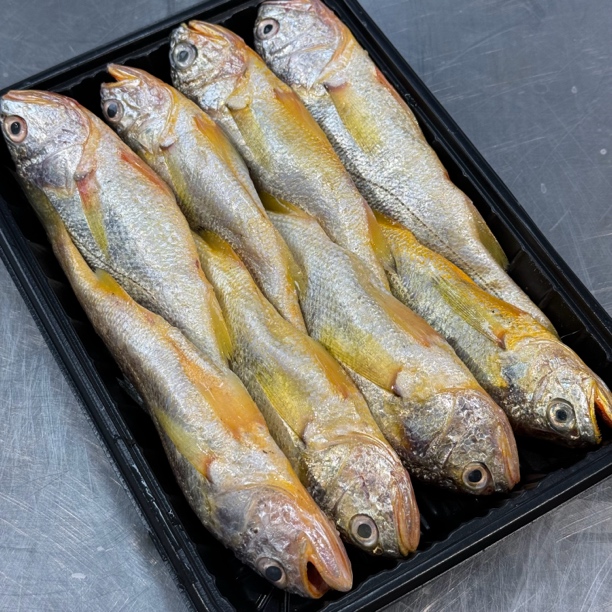 野生黄鱼  小黄鱼   8月开捕  冷冻发货  顺丰包邮