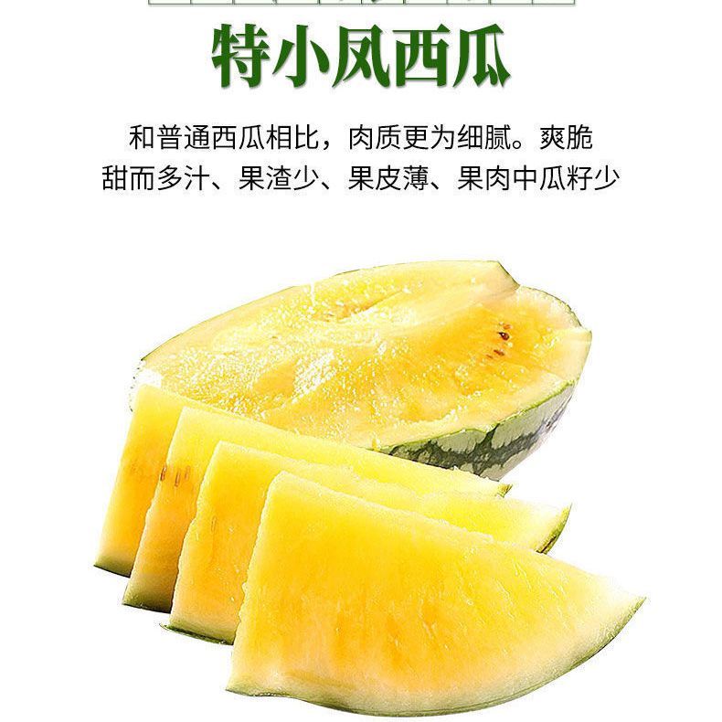 精品黄瓤特小凤西瓜沙瓤脆甜口10斤起