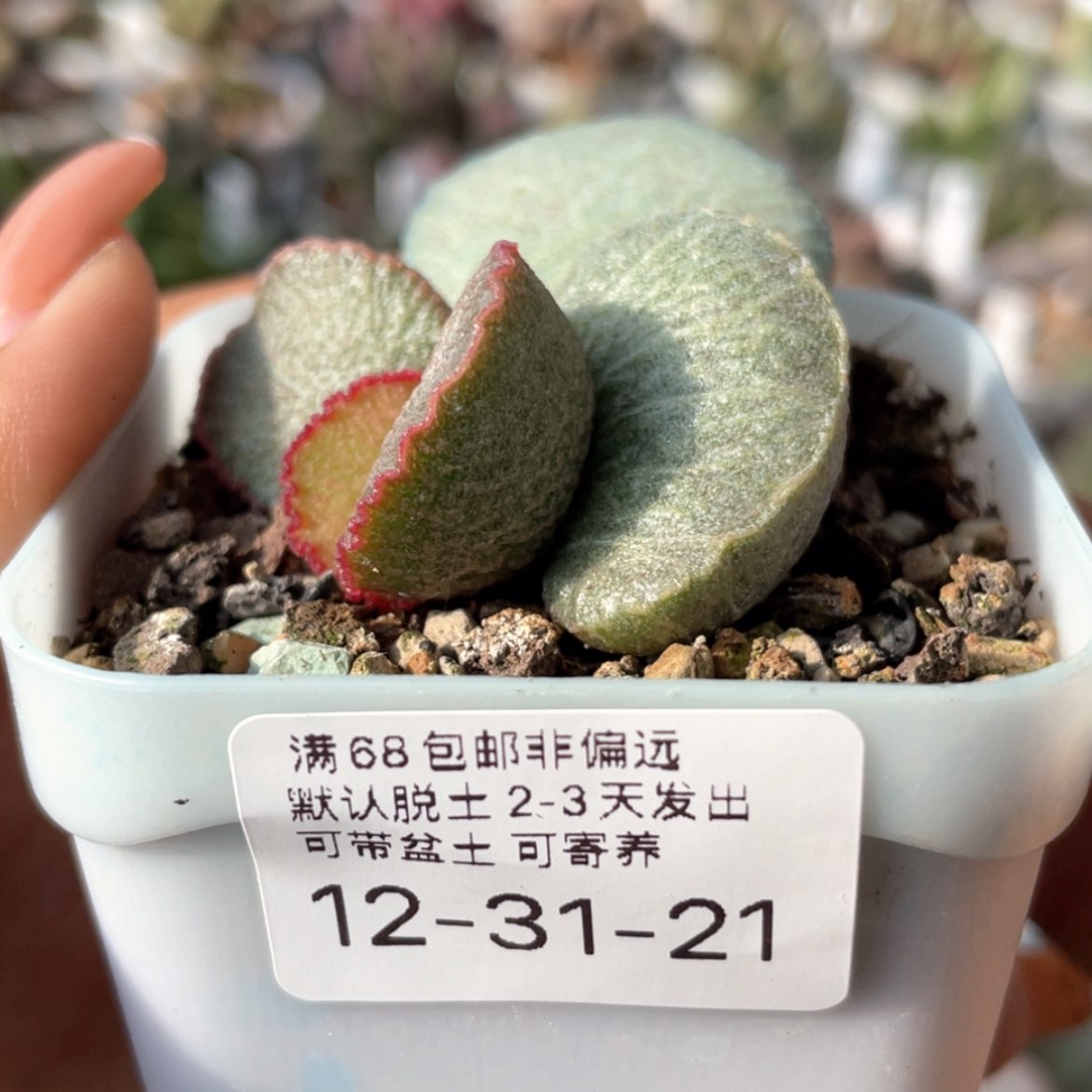 【闪购商品】浮*      900